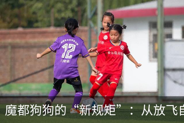 魔都狗狗的“新规矩”：从放飞自我到规规矩矩