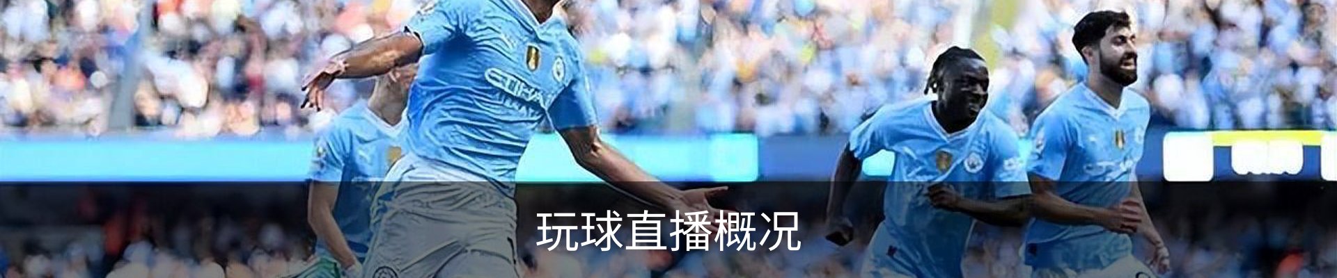 玩球直播概况
